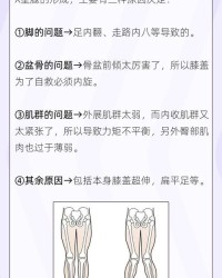 腿怎么组词腿