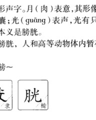 囊的拼音和组词(囊的拼音和组词和部首)