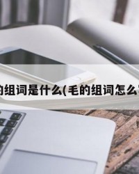 毛的组词是什么(毛的组词怎么写?)