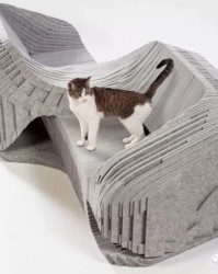 猫屋的猫猫怎么组词