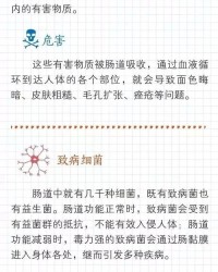 肠子肚子的肠怎么组词