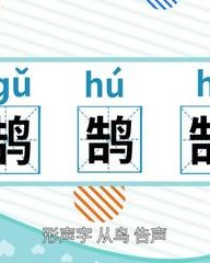 科怎么组词(科怎么组词和拼音)