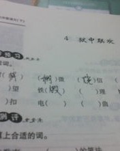 同音字纤怎么组词