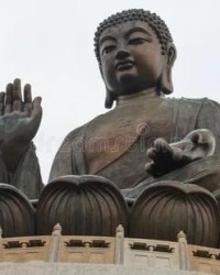 果怎么组词(果怎么组词组)