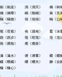 这字怎么加偏旁组词