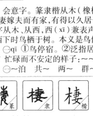 栖组词和部首(栖组词部首结构组词是什么)