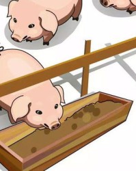 圈字多音字组词