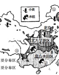 稻谷怎么组词(稻子怎么组词)