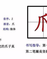 真怎么组词(真怎么组词一年级上册)