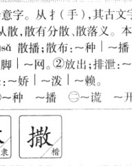 撒的拼音组词(撒的拼音组词和部首)