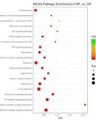 有没有的幼可以怎么组词