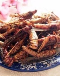 蚂蚱的炸怎么组词