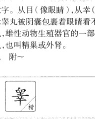 丸的组词(丸的组词怎么写)