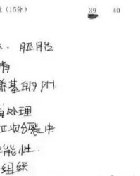 答题两个字怎么组词