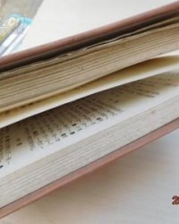 解字怎么组词(解字怎么组词是什么)