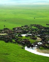 辽阔的辽怎么组词