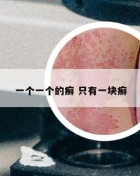 猫咪的猫组词(猫咪的猫组词怎么写)