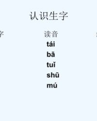 笼读音组词(笼的拼音怎么组词)