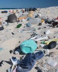 佛组词组(佛组词组和部首)