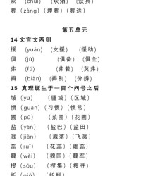 衣服可可以怎么组词