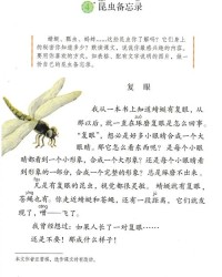 虫和春怎么念组词