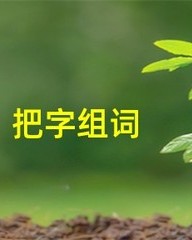 垃圾的圾组词(垃圾的圾组词怎么组)