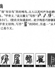 雇字组词(雇字组词和拼音怎么写)