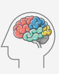 吃无除除怎么组词