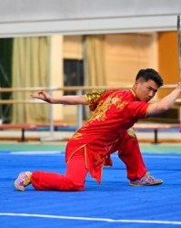 武术的武术的武怎么组词