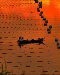 朝朝霞霞怎么怎么组词