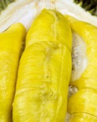 她字的组词(她字的组词怎么写)