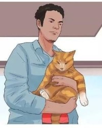 止怎么组词和部首拼音