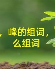 蝶怎么组词语(蝶组词怎么写)