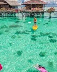 践怎么组词语(践怎么组词语和拼音怎么写的)