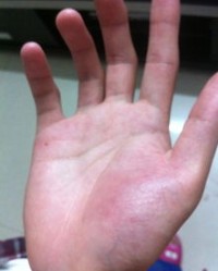 手掌的掌怎么组词啊