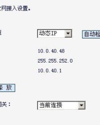 网络的络怎么组词