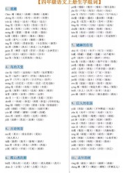 拼音娃怎么组词