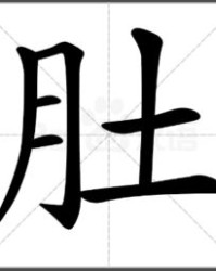 肚脐的杜怎么组词