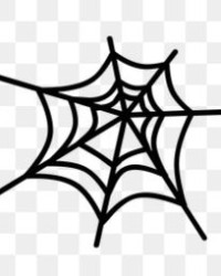 蜘蛛网的网怎么组词