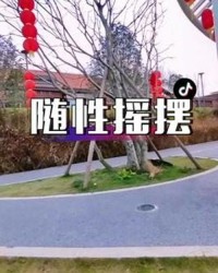 随性摇摆怎么组词啊