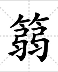 箬怎么组词(箬怎么组词语)