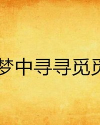 寻寻觅觅怎么组词啊