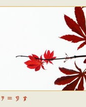 霜叶的叶怎么组词