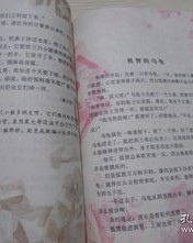 启蒙的蒙组词怎么组装