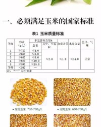 玉米的玉怎么组词