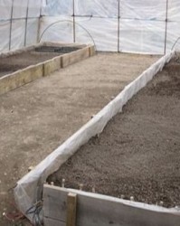 温的组词有哪些