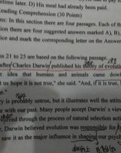 夫放在句首怎么组词