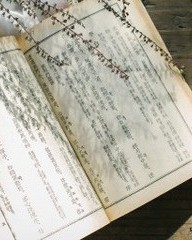 昵字组词(昵字组词怎么组)