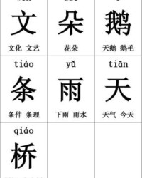 花朵的朵组词(花朵的朵组词怎么组)