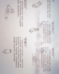 结节怎么组词团结的结